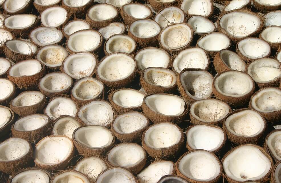 Industri Kopra di Indonesia